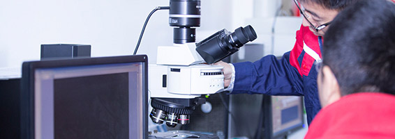 ˳ӯ����-����ƽ̨,ע�ᳩ����Ԫѡ��!