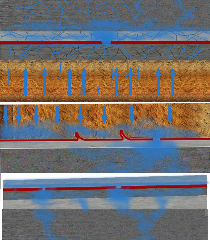 ˳ӯ����-����ƽ̨,ע�ᳩ����Ԫѡ��!