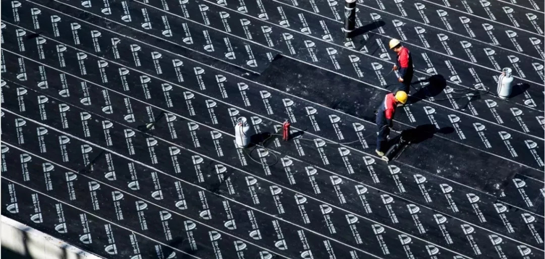 ˳ӯ����-����ƽ̨,ע�ᳩ����Ԫѡ��!