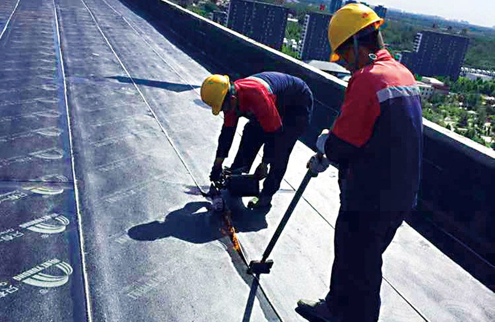 ˳ӯ����-����ƽ̨,ע�ᳩ����Ԫѡ��!