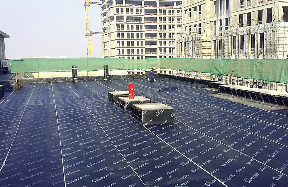 ˳ӯ����-����ƽ̨,ע�ᳩ����Ԫѡ��!