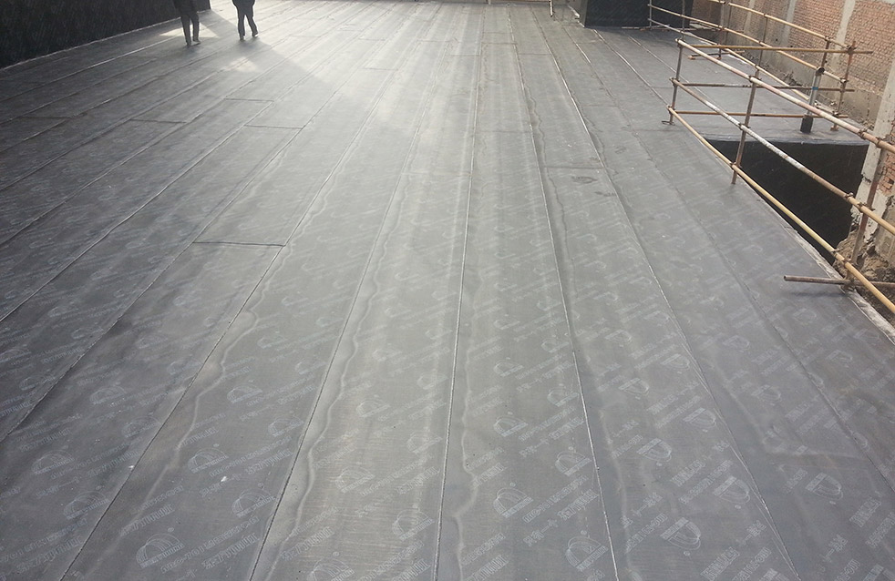 ˳ӯ����-����ƽ̨,ע�ᳩ����Ԫѡ��!