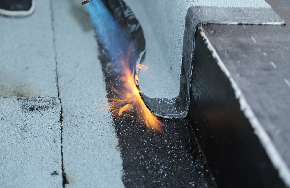 ˳ӯ����-����ƽ̨,ע�ᳩ����Ԫѡ��!