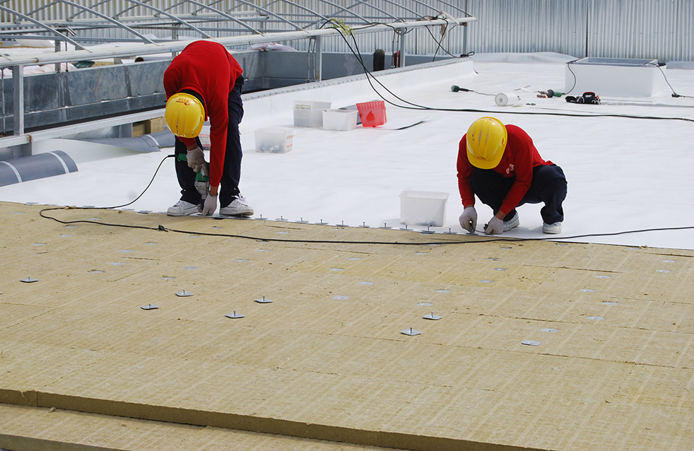 ˳ӯ����-����ƽ̨,ע�ᳩ����Ԫѡ��!