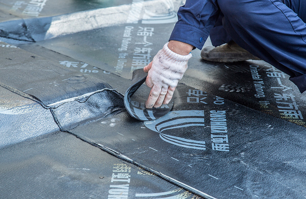 ˳ӯ����-����ƽ̨,ע�ᳩ����Ԫѡ��!