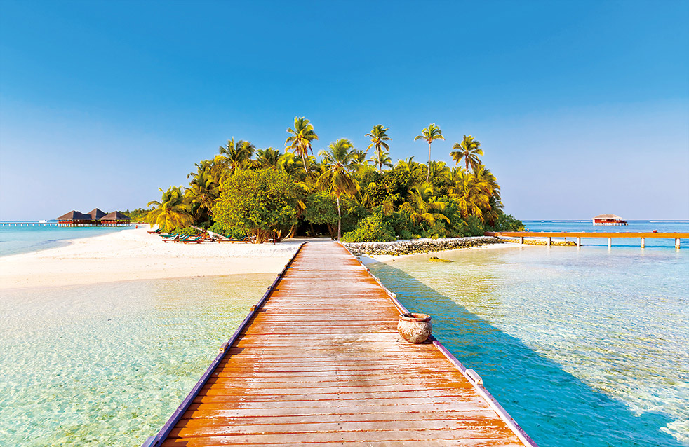 ˳ӯ����-����ƽ̨,ע�ᳩ����Ԫѡ��!