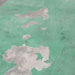 ˳ӯ����-����ƽ̨,ע�ᳩ����Ԫѡ��!