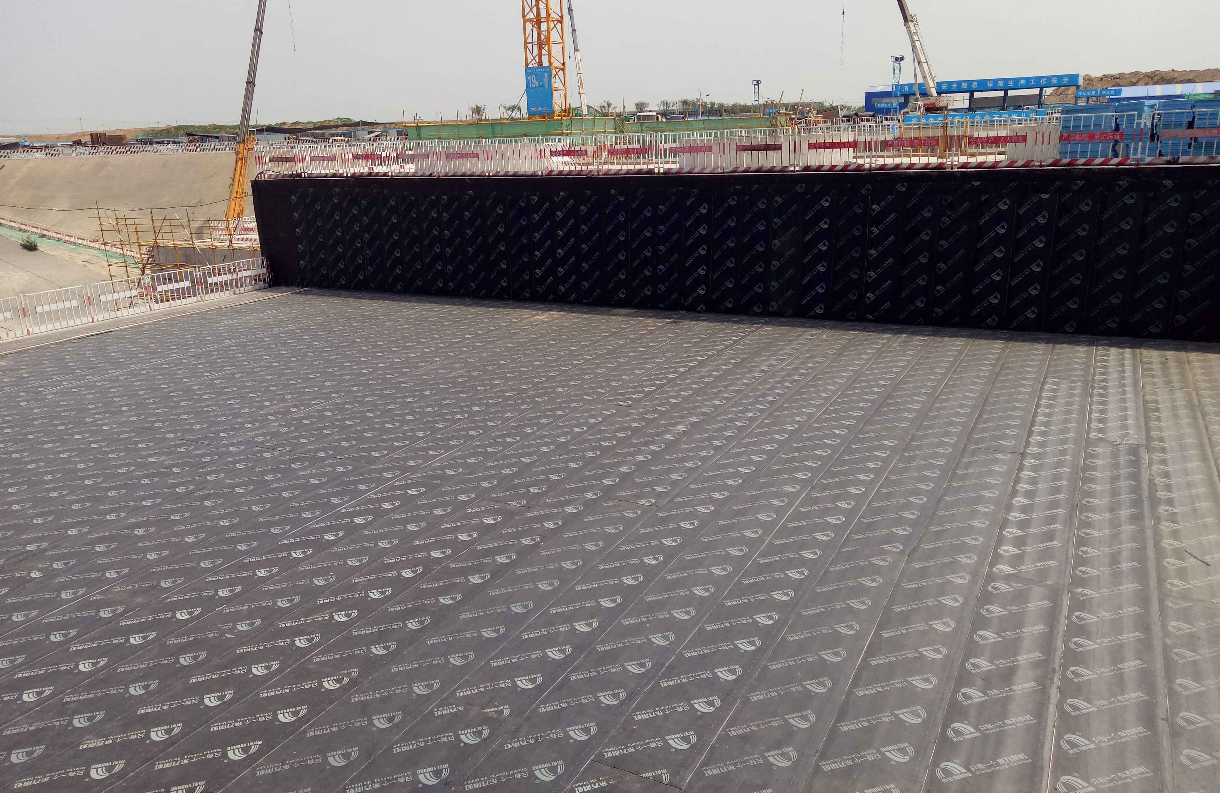 ˳ӯ����-����ƽ̨,ע�ᳩ����Ԫѡ��!