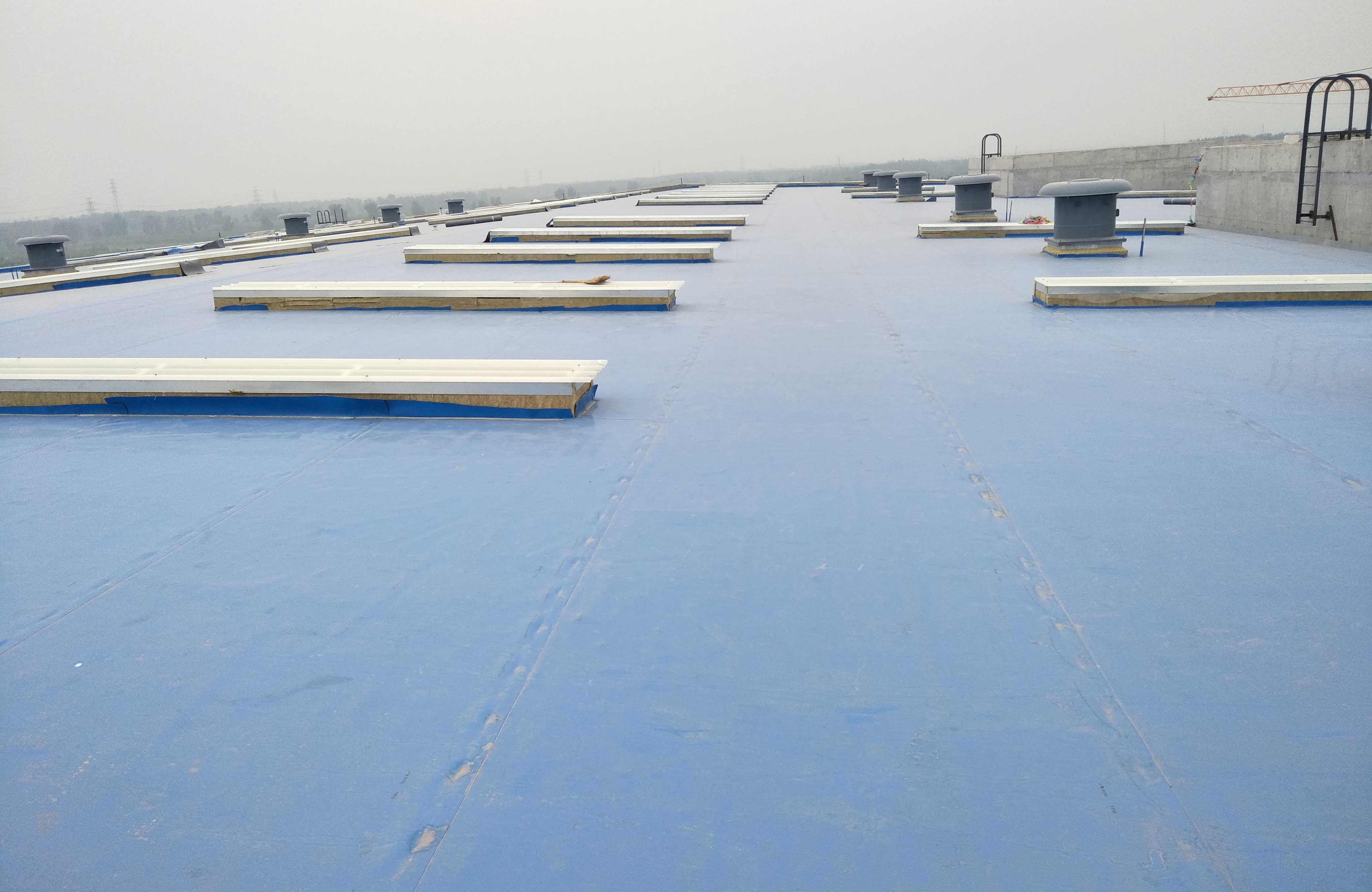 ˳ӯ����-����ƽ̨,ע�ᳩ����Ԫѡ��!