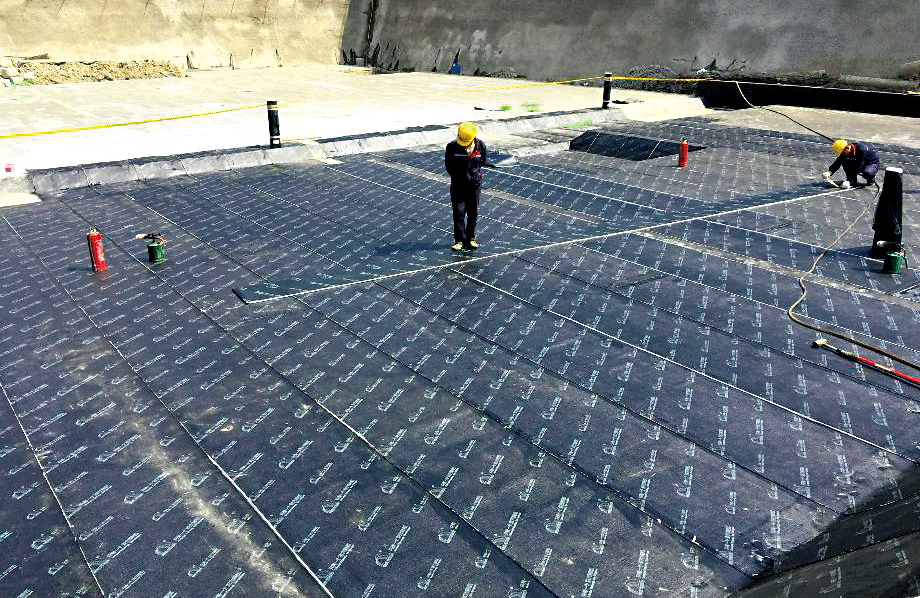 ˳ӯ����-����ƽ̨,ע�ᳩ����Ԫѡ��!