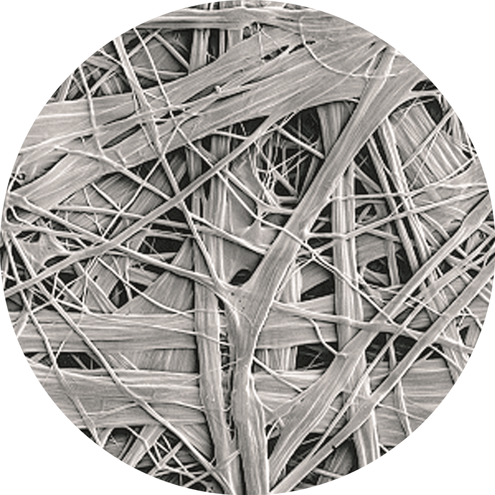 ˳ӯ����-����ƽ̨,ע�ᳩ����Ԫѡ��!