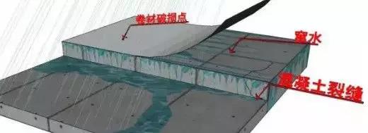 ˳ӯ����-����ƽ̨,ע�ᳩ����Ԫѡ��!