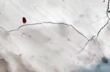 ˳ӯ����-����ƽ̨,ע�ᳩ����Ԫѡ��!