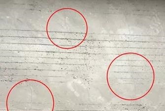 ˳ӯ����-����ƽ̨,ע�ᳩ����Ԫѡ��!