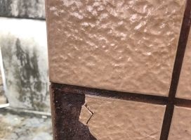 ˳ӯ����-����ƽ̨,ע�ᳩ����Ԫѡ��!