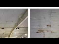 ˳ӯ����-����ƽ̨,ע�ᳩ����Ԫѡ��!