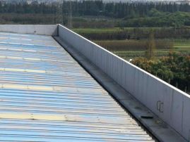 ˳ӯ����-����ƽ̨,ע�ᳩ����Ԫѡ��!