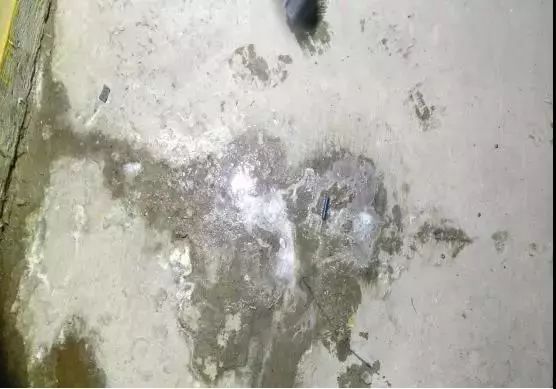 ˳ӯ����-����ƽ̨,ע�ᳩ����Ԫѡ��!