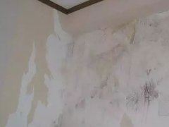 ˳ӯ����-����ƽ̨,ע�ᳩ����Ԫѡ��!