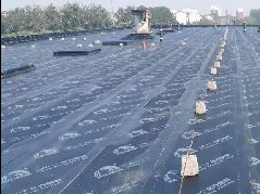 ˳ӯ����-����ƽ̨,ע�ᳩ����Ԫѡ��!