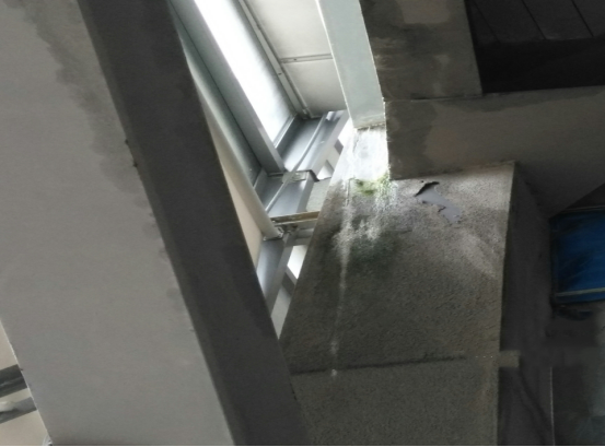 ˳ӯ����-����ƽ̨,ע�ᳩ����Ԫѡ��!