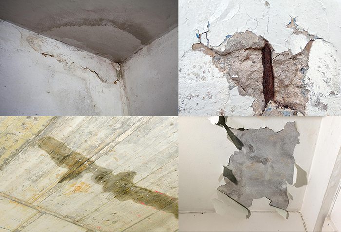 ˳ӯ����-����ƽ̨,ע�ᳩ����Ԫѡ��!