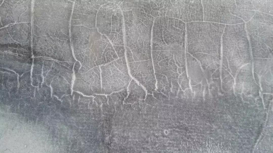 ˳ӯ����-����ƽ̨,ע�ᳩ����Ԫѡ��!