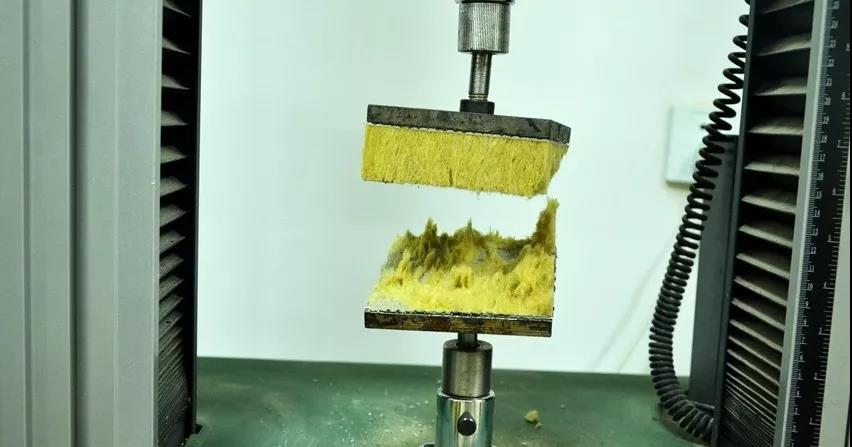 ˳ӯ����-����ƽ̨,ע�ᳩ����Ԫѡ��!