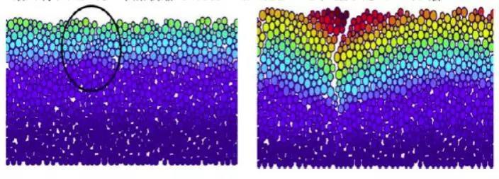 ˳ӯ����-����ƽ̨,ע�ᳩ����Ԫѡ��!