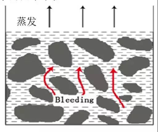 ˳ӯ����-����ƽ̨,ע�ᳩ����Ԫѡ��!