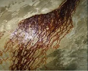 ˳ӯ����-����ƽ̨,ע�ᳩ����Ԫѡ��!