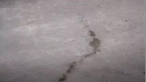 ˳ӯ����-����ƽ̨,ע�ᳩ����Ԫѡ��!