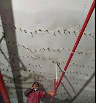 ˳ӯ����-����ƽ̨,ע�ᳩ����Ԫѡ��!