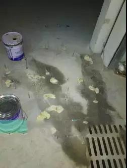 ˳ӯ����-����ƽ̨,ע�ᳩ����Ԫѡ��!