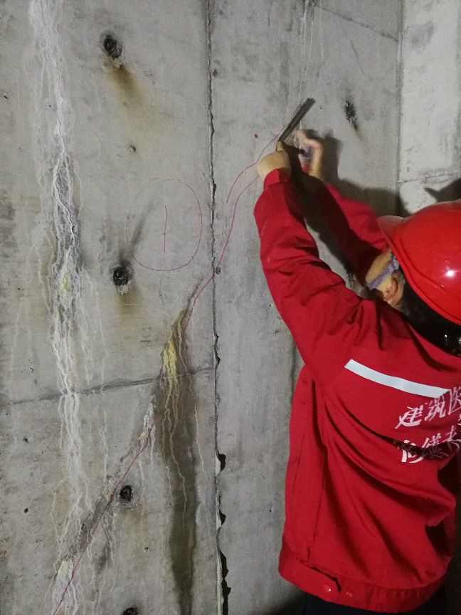 ˳ӯ����-����ƽ̨,ע�ᳩ����Ԫѡ��!