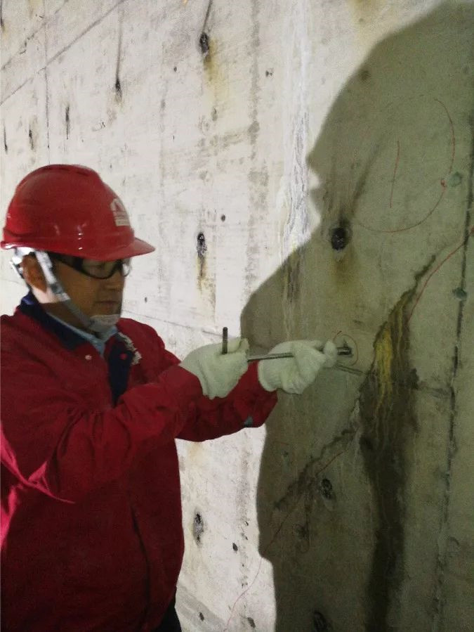 ˳ӯ����-����ƽ̨,ע�ᳩ����Ԫѡ��!