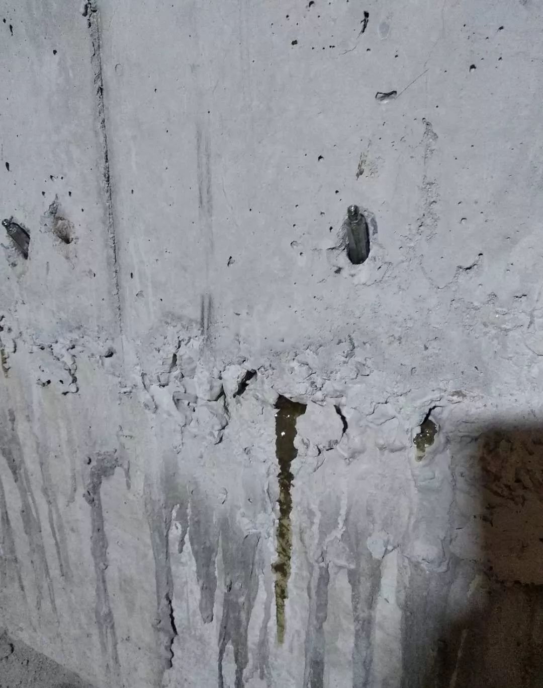 ˳ӯ����-����ƽ̨,ע�ᳩ����Ԫѡ��!