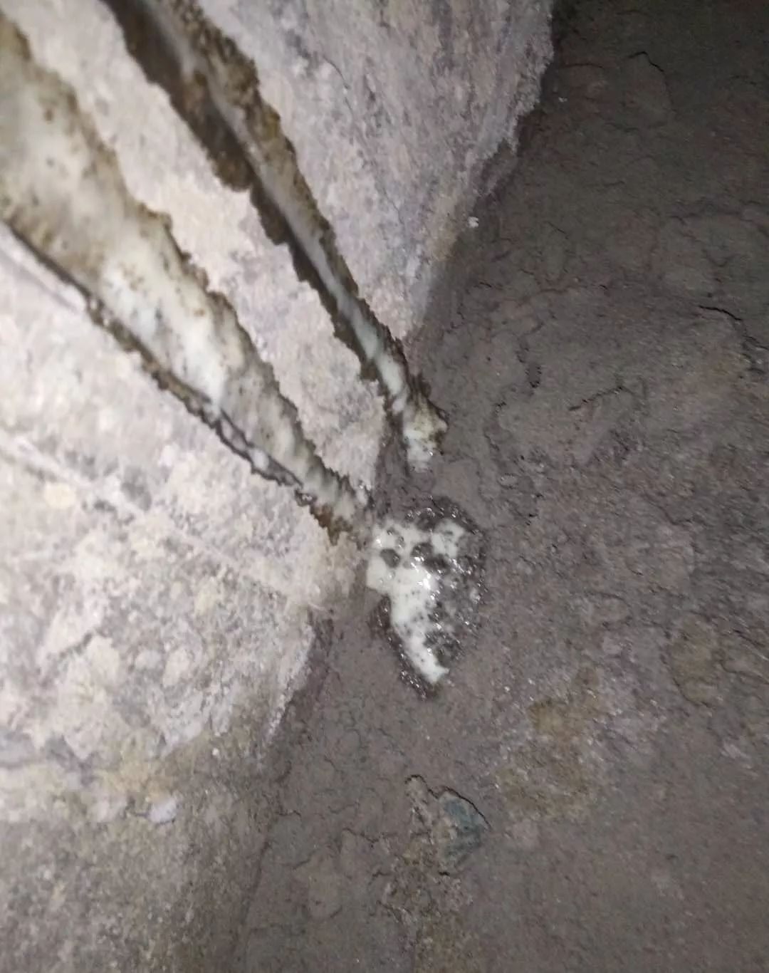 ˳ӯ����-����ƽ̨,ע�ᳩ����Ԫѡ��!