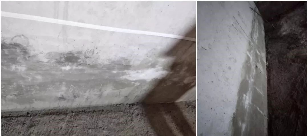 ˳ӯ����-����ƽ̨,ע�ᳩ����Ԫѡ��!