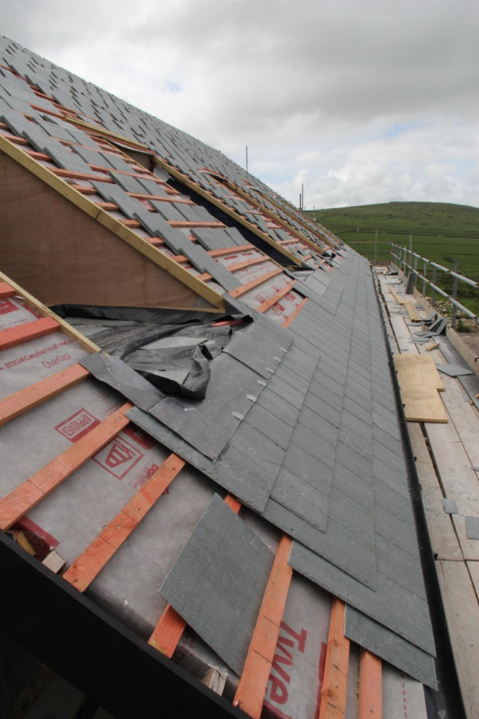 ˳ӯ����-����ƽ̨,ע�ᳩ����Ԫѡ��!