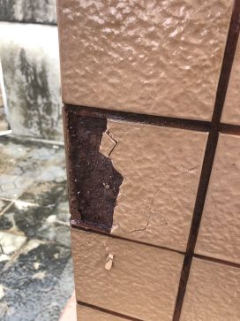 ˳ӯ����-����ƽ̨,ע�ᳩ����Ԫѡ��!