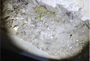 ˳ӯ����-����ƽ̨,ע�ᳩ����Ԫѡ��!