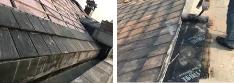 ˳ӯ����-����ƽ̨,ע�ᳩ����Ԫѡ��!