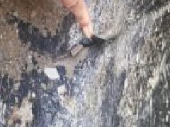 ˳ӯ����-����ƽ̨,ע�ᳩ����Ԫѡ��!