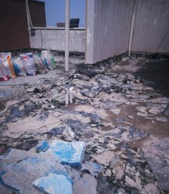 ˳ӯ����-����ƽ̨,ע�ᳩ����Ԫѡ��!