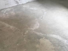 ˳ӯ����-����ƽ̨,ע�ᳩ����Ԫѡ��!