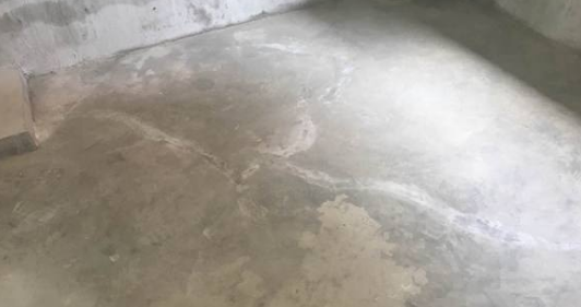 ˳ӯ����-����ƽ̨,ע�ᳩ����Ԫѡ��!