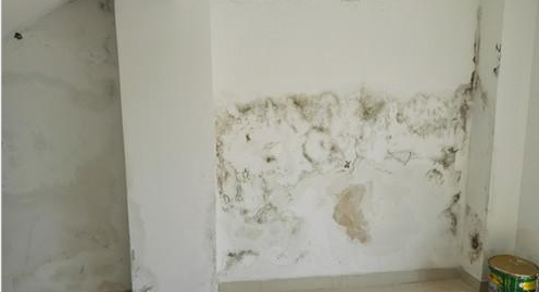 ˳ӯ����-����ƽ̨,ע�ᳩ����Ԫѡ��!