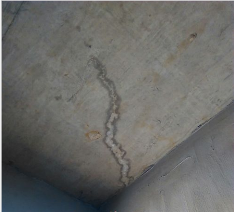 ˳ӯ����-����ƽ̨,ע�ᳩ����Ԫѡ��!