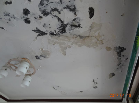 ˳ӯ����-����ƽ̨,ע�ᳩ����Ԫѡ��!